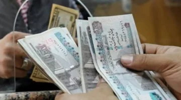 شروط جديدة.. وزارة التضامن الاجتماعي تعلن برامج حماية للفئات الأولى بالرعاية عام 2026